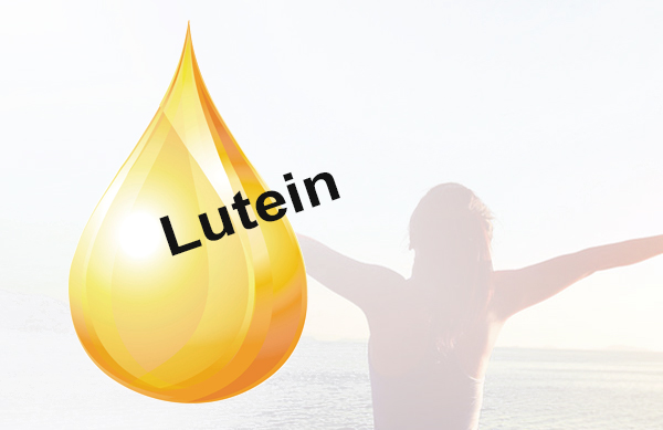 FitLine Lutein kupić